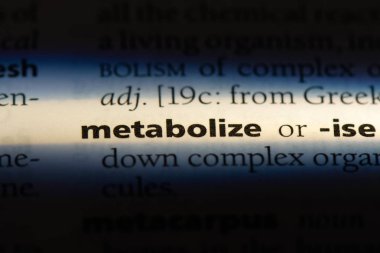bir sözlüğü'ndeki sözcüğü metabolize. kavram metabolize.
