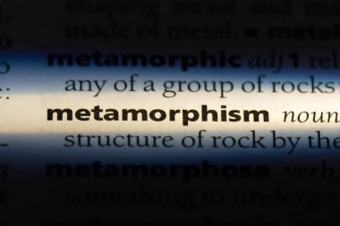 metamorfizma Word'de bir sözlük. metamorfizma kavramı.