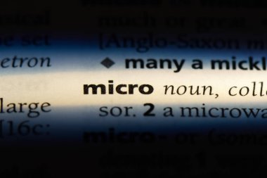Mikro tek kelimeyle bir sözlük. Mikro kavramı.