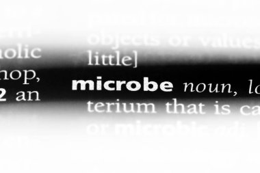 mikrop Word'de bir sözlük. mikrop kavramı.