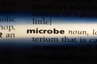 mikrop Word'de bir sözlük. mikrop kavramı.