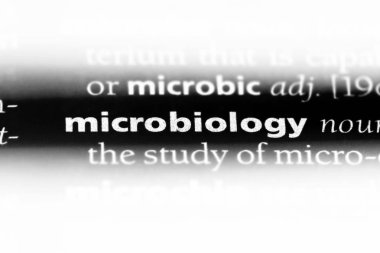 bir sözlüğü'ndeki Mikrobiyoloji sözcüğü. Mikrobiyoloji kavramı.
