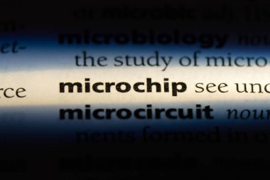 mikroçip Word'de bir sözlük. mikroçip kavramı.