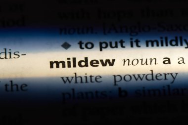 küf Word'de bir sözlük. küf kavramı.