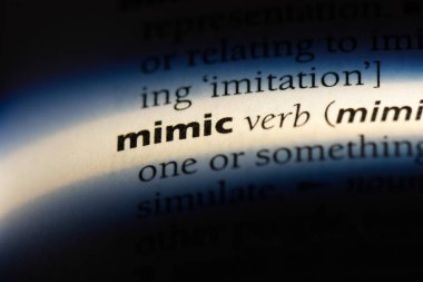 bir sözlüğü'ndeki sözcüğü taklit. kavram taklit.