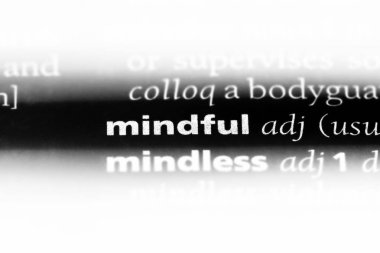 dikkatli sözcük sözlüğe. dikkatli kavramı.