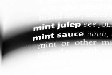 nane sosu Word'de bir sözlük. nane sosu kavramı.