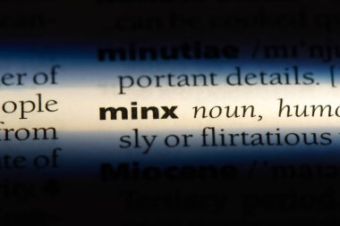 bir sözlüğü'ndeki Minx sözcüğü. Minx kavramı.