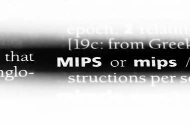 MIPS Word'de bir sözlük. MIPS kavramı.