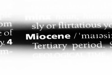 bir sözlüğü'ndeki Miyosen sözcüğü. Miyosen kavramı.