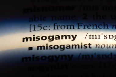 misogamy sözcük sözlüğe. misogamy kavramı.