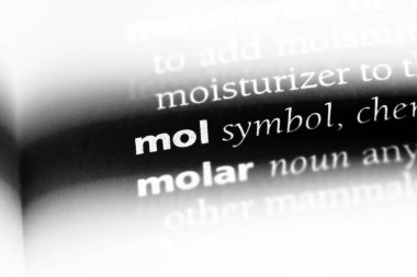 Mol Word'de bir sözlük. Mol kavramı.