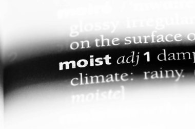 bir sözlüğü'ndeki nemli sözcüğü. nemli kavramı.