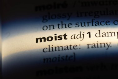 bir sözlüğü'ndeki nemli sözcüğü. nemli kavramı.