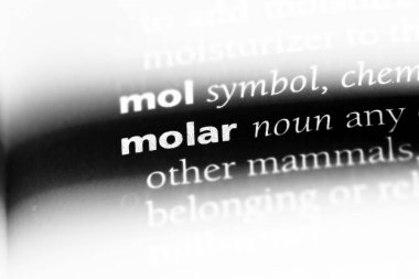 bir sözlüğü'ndeki molar sözcüğü. molar kavramı.