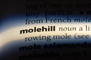 köstebek yuvası Word'de bir sözlük. köstebek yuvası kavramı.