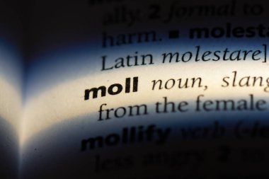 Moll Word'de bir sözlük. Moll kavramı.