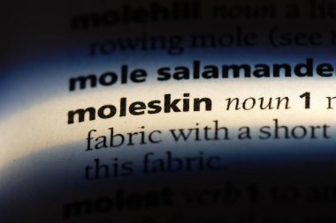 moleskin sözcük sözlüğe. moleskin kavramı.