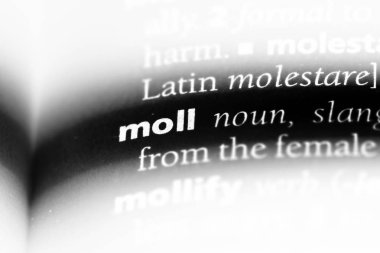Moll Word'de bir sözlük. Moll kavramı.