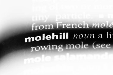 köstebek yuvası Word'de bir sözlük. köstebek yuvası kavramı.