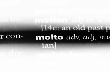 Molto bir sözlükte kelime. Molto kavramı.