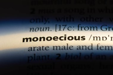 monoecious tek kelimeyle bir sözlük. monoecious kavramı.