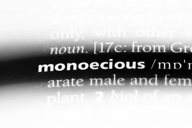 monoecious tek kelimeyle bir sözlük. monoecious kavramı.