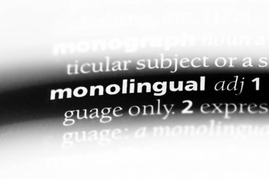 bir sözlüğü'ndeki tek dilli sözcüğü. tek dilli kavramı.