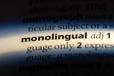 bir sözlüğü'ndeki tek dilli sözcüğü. tek dilli kavramı.