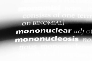 bir sözlüğü'ndeki mononükleer sözcüğü. mononükleer kavramı.