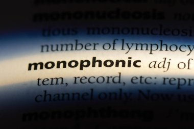 tek sesli sözcük sözlüğe. tek sesli kavramı.