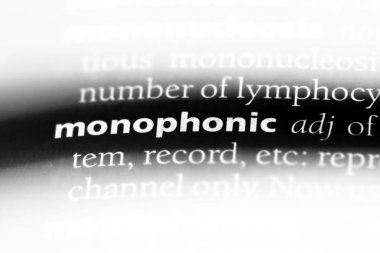 tek sesli sözcük sözlüğe. tek sesli kavramı.