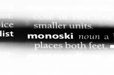 monoski sözcük sözlüğe. monoski kavramı.