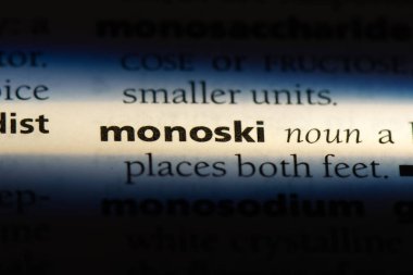 monoski sözcük sözlüğe. monoski kavramı.
