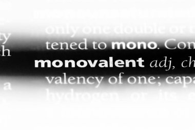 bir sözlüğü'ndeki monovalent sözcüğü. monovalent kavramı.