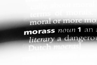 sazlık Word'de bir sözlük. sazlık kavramı.