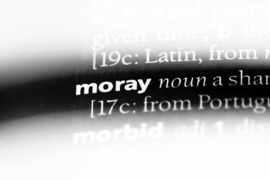 Moray Word'de bir sözlük. Moray kavramı.