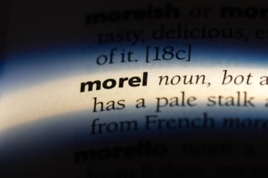 Morel Word'de bir sözlük. Morel kavramı.