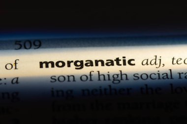 morgantic sözcük sözlüğe. morgantic kavramı.