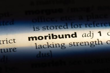 can çekişen tek kelimeyle bir sözlük. can çekişen kavramı.