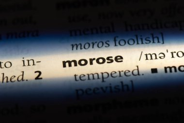 bir sözlüğü'ndeki suratsız sözcüğü. suratsız kavramı.