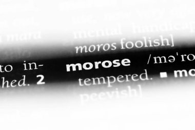 bir sözlüğü'ndeki suratsız sözcüğü. suratsız kavramı.