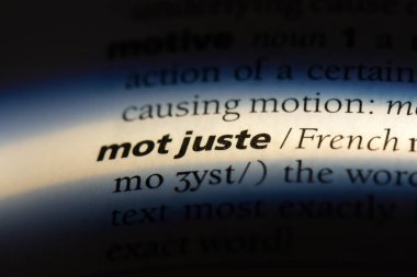 Sözlükte sadece bir kelime var. mot sadece kavram.