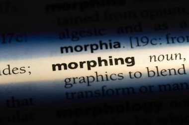 geçişin tek kelimeyle bir sözlük. morfin kavramı.