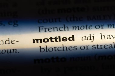 Benekli tek kelimeyle bir sözlük. Benekli kavramı.