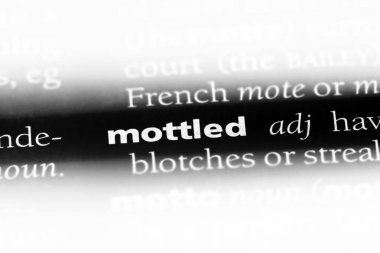 Benekli tek kelimeyle bir sözlük. Benekli kavramı.