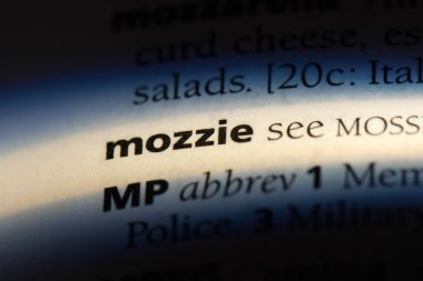 Mozzie Word'de bir sözlük. Mozzie kavramı.