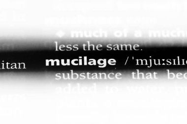 zamk Word'de bir sözlük. zamk kavramı.