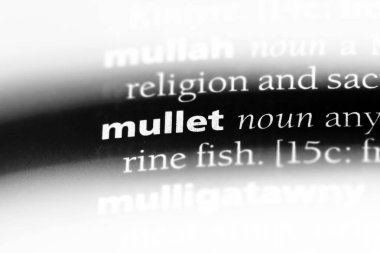 kefal Word'de bir sözlük. kefal kavramı.