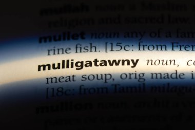 Mulligatawny sözcük sözlüğe. Mulligatawny kavramı.
